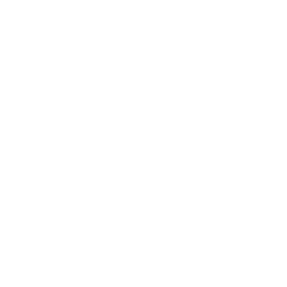 Handpuey Logo
