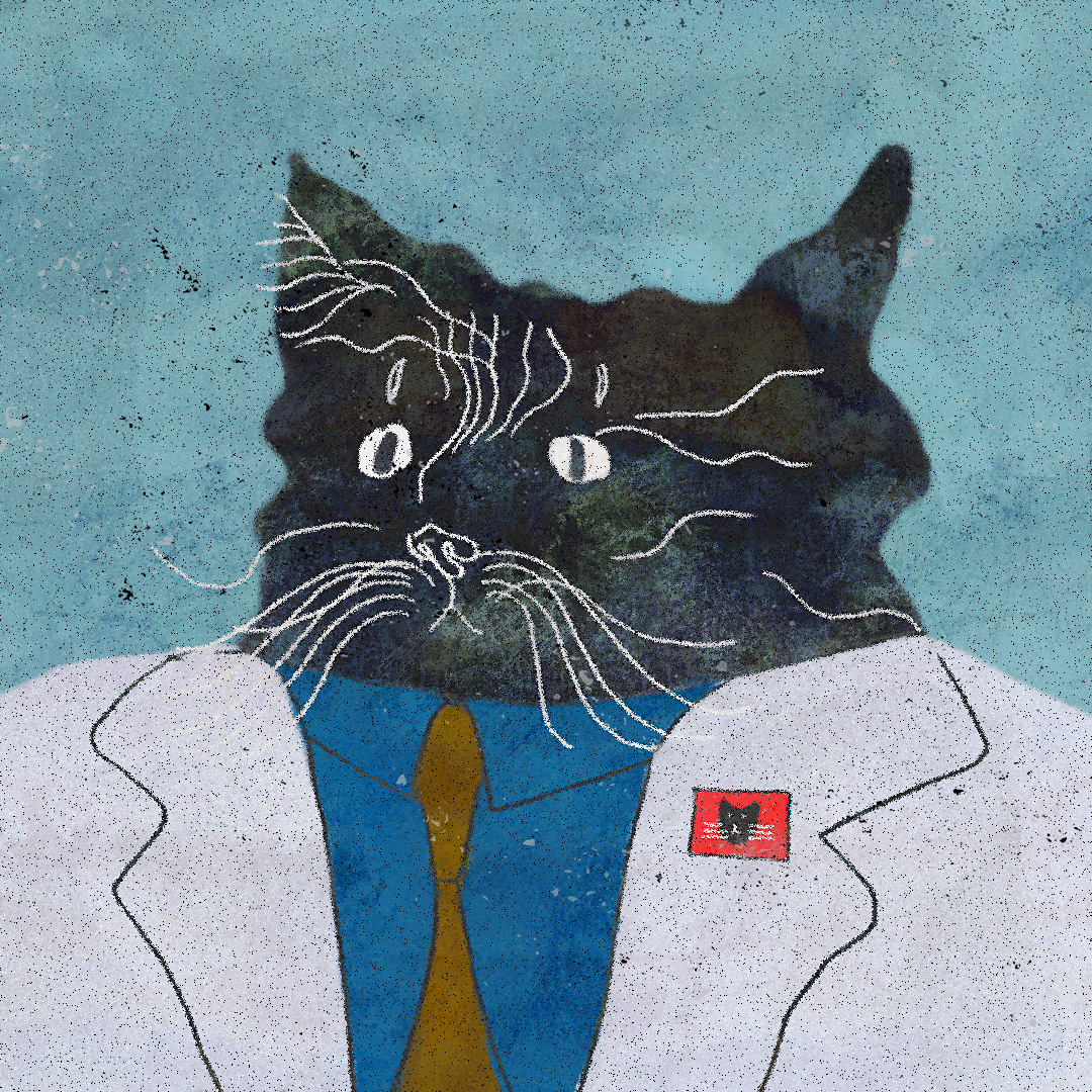 Colorful Cat Illustration